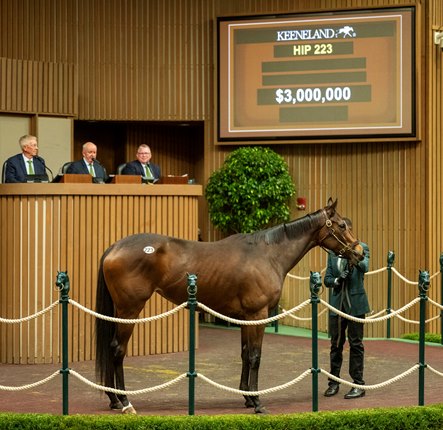 Kilwin Brings a Sweet $3 Million at Keeneland November